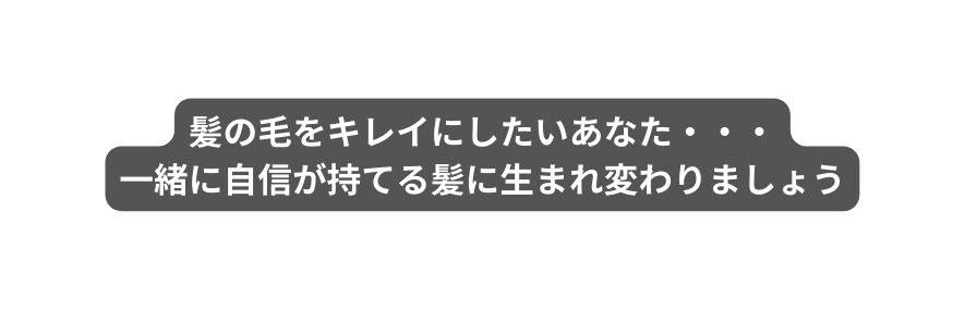 髪の毛をキレイにしたいあなた 一緒に自信が持てる髪に生まれ変わりましょう